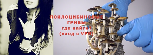 марки lsd Бородино