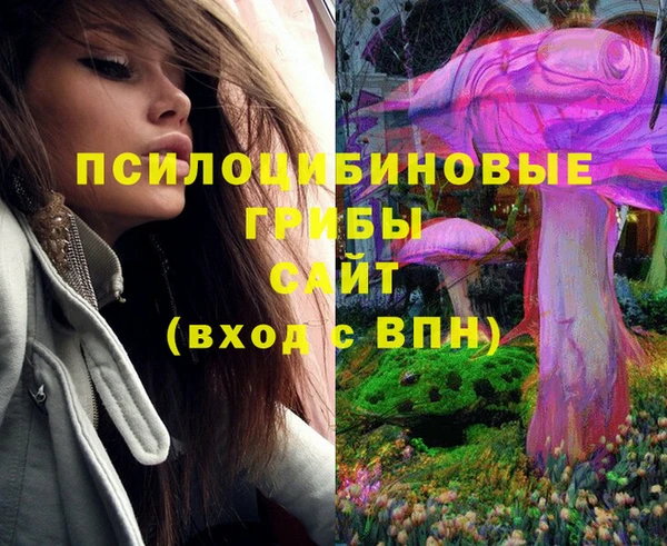 марки lsd Бородино